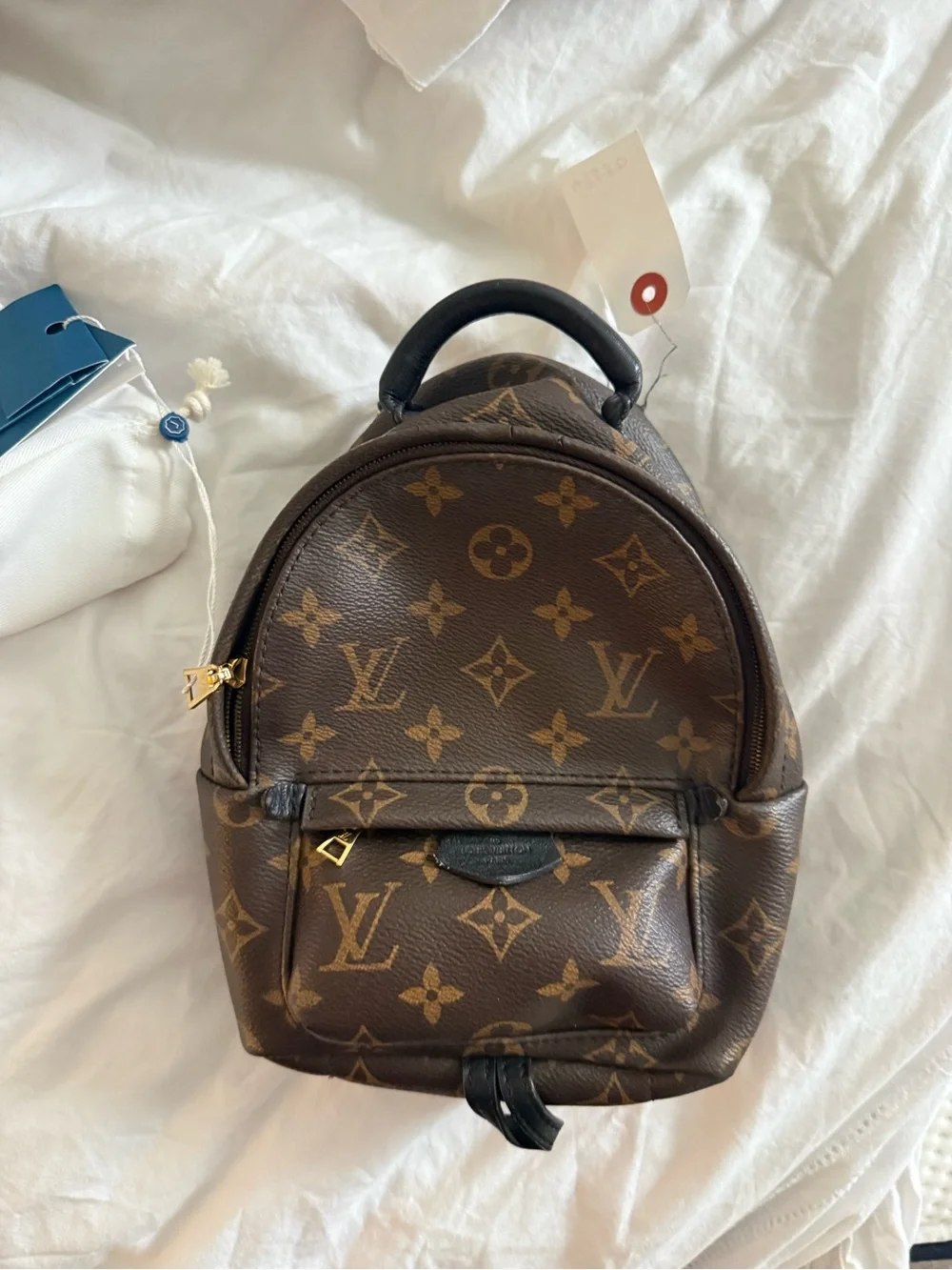 Louis vuitton mini palm springs backpack